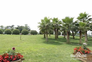 成都園林綠化養(yǎng)護(hù)修剪施工方案及操作規(guī)范